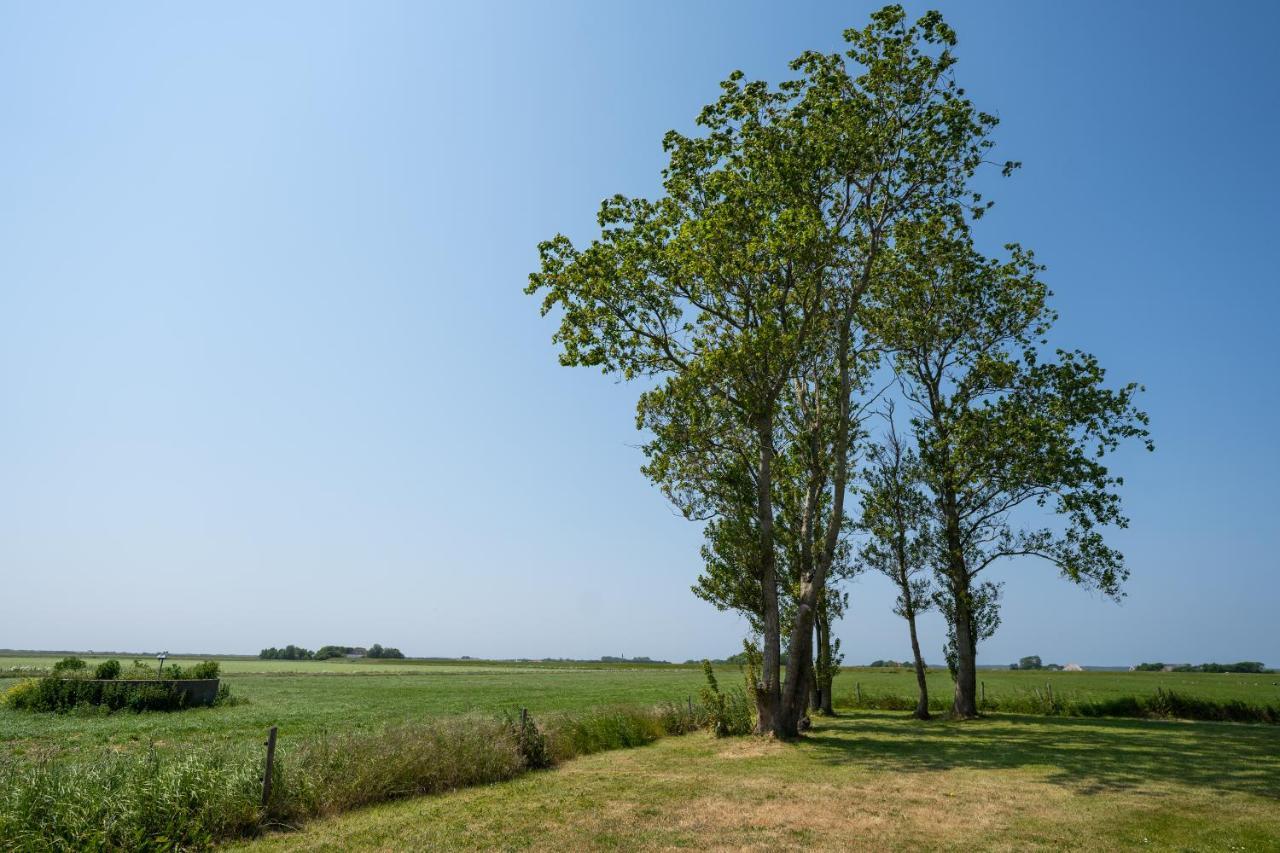 Hotel Johanneshoeve - De Mooiste Plek Op Texel Den Hoorn  Exterior foto